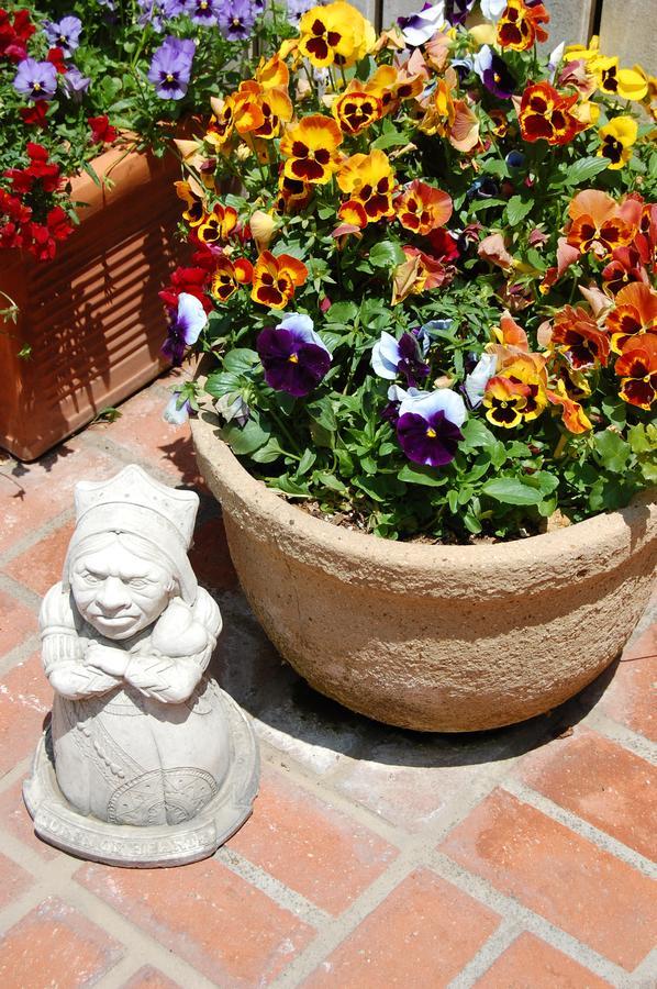 Cheshire Cat Inn & Cottages Santa Barbara Exteriér fotografie
